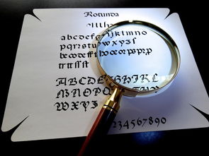 多线项目轮廓清晰,发展方向明确,多线条工作