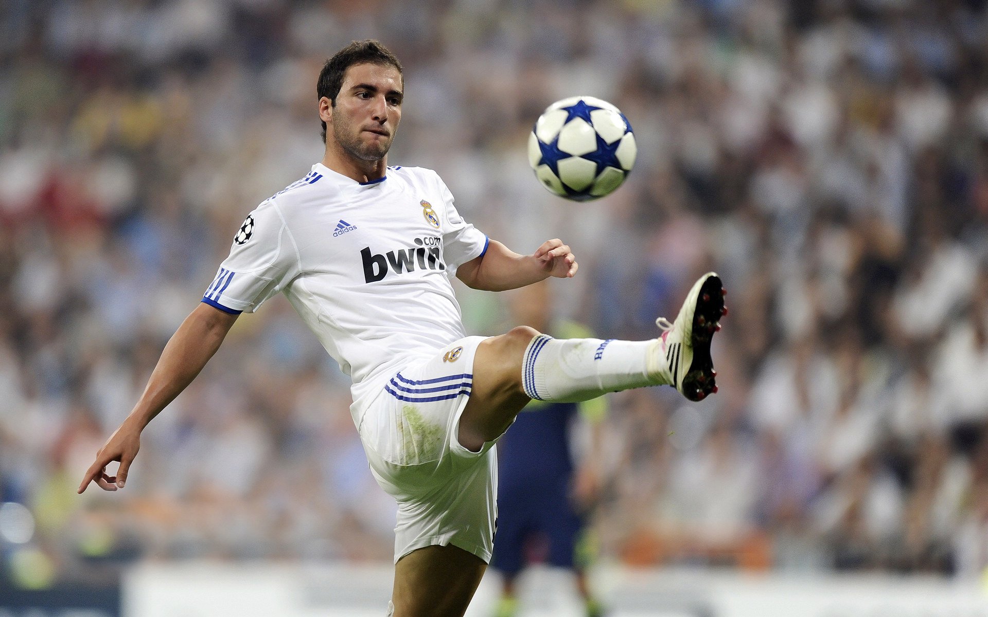 法国记者惊叹：伊朗的冷静来自炎热土地？，伊朗foroughi